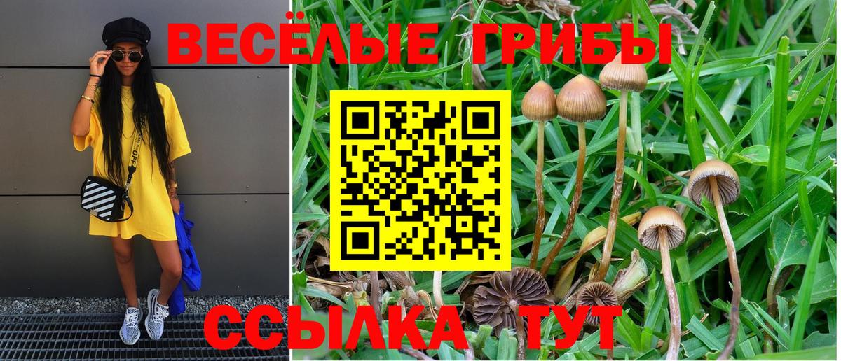 Галлюциногенные грибы Cubensis  Галлюциногенные грибы Psilocybine cubensis  Вход с VPN  Златоуст 